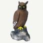 Preview: Leitold Eagle Owl