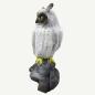 Preview: Leitold Snow Owl