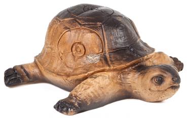A.A. Schildkröte
