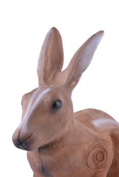 Longlife Hare