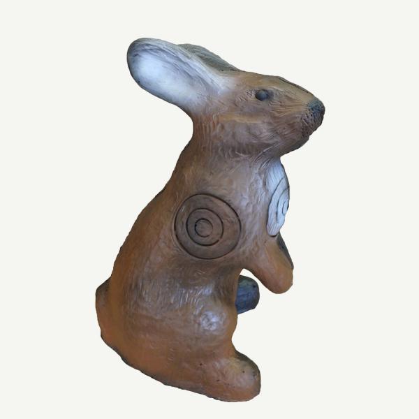 Leitold Hase