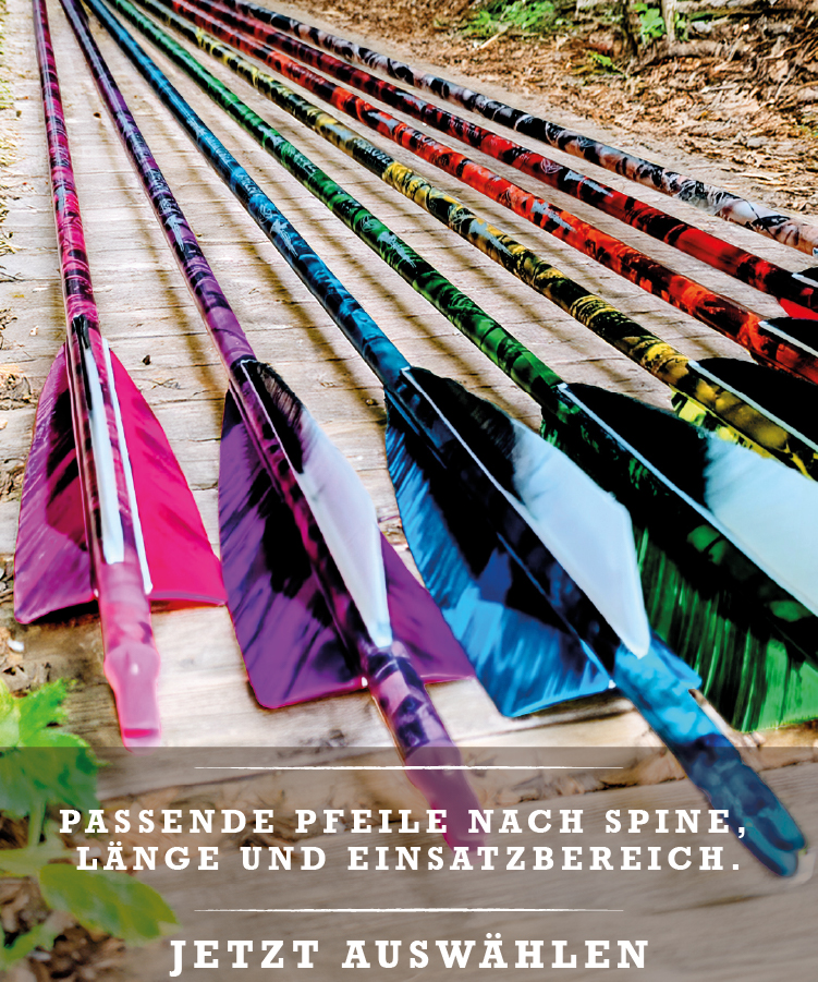 Pfeile entdecken Pfeile entdecken