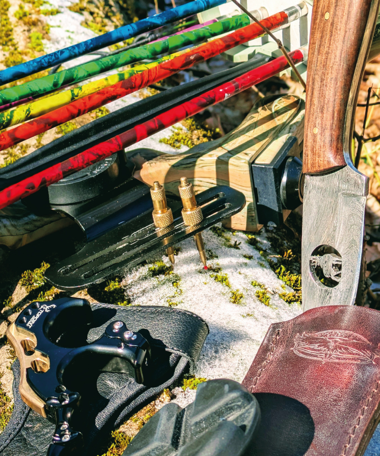 Pfeile entdecken Pfeile entdecken